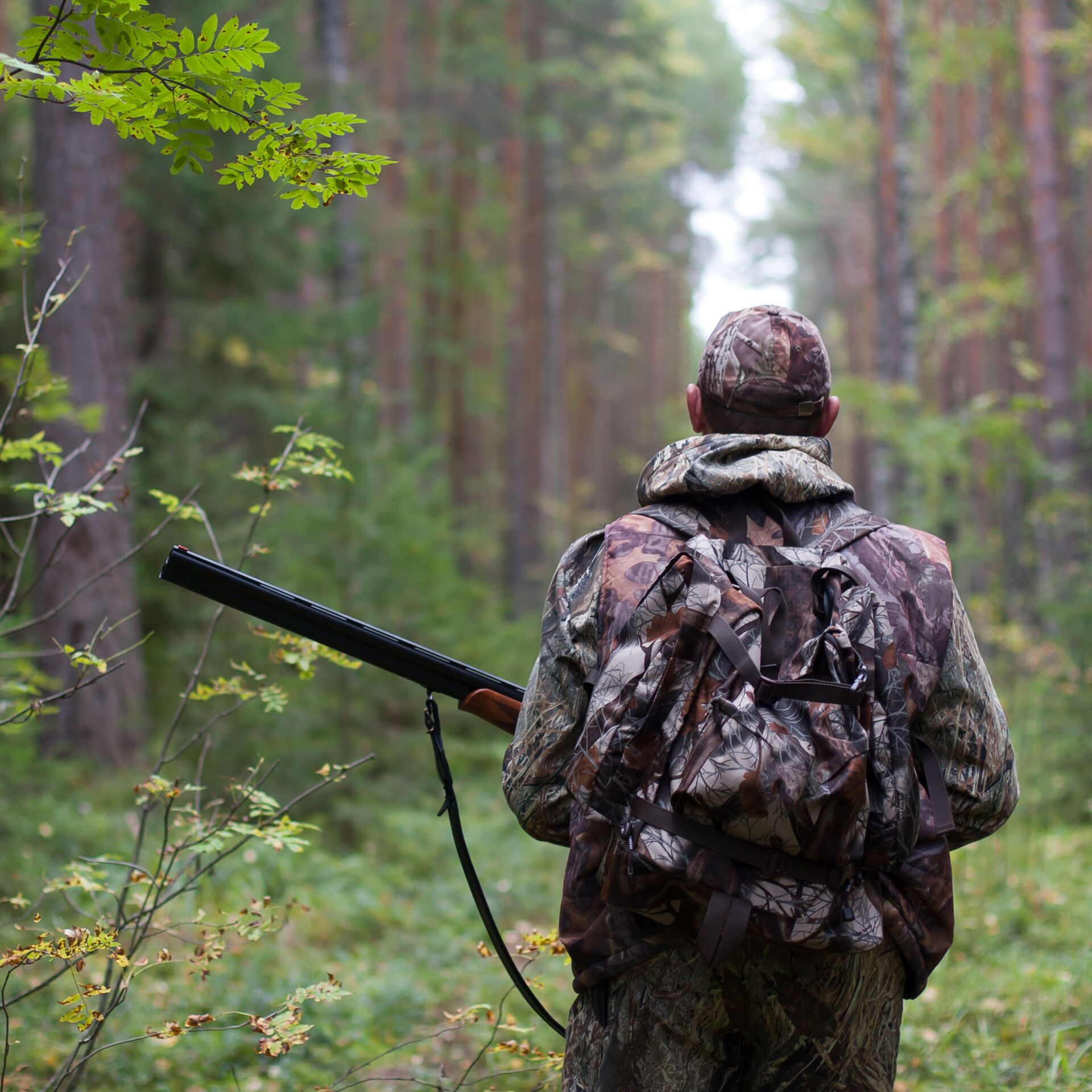 Оружейный Клуб охотников: центр для обмена опытом и практики охотничьего мастерства