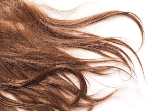 Единственным гарантированным способом восстановления густоты шевелюры для женщины становится пересадка волос